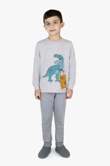 Pijama infantil moletinho dinossauro viajante